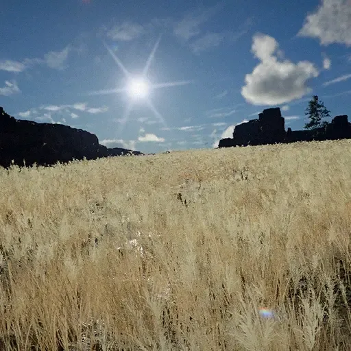 Reedwind Valley